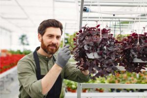 What Does a Horticulturist Do - Key Duties and Skills