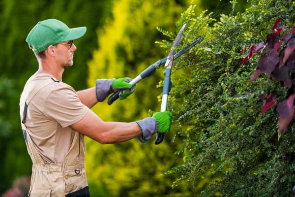 Hire a Private Gardner with Colonial Agency